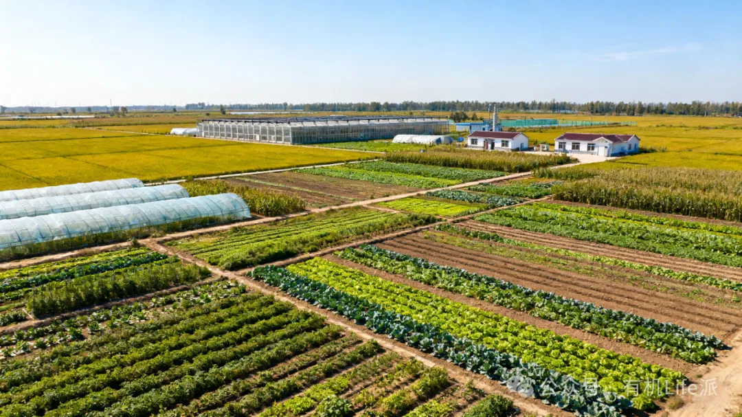 有机农产品到底贵在哪儿