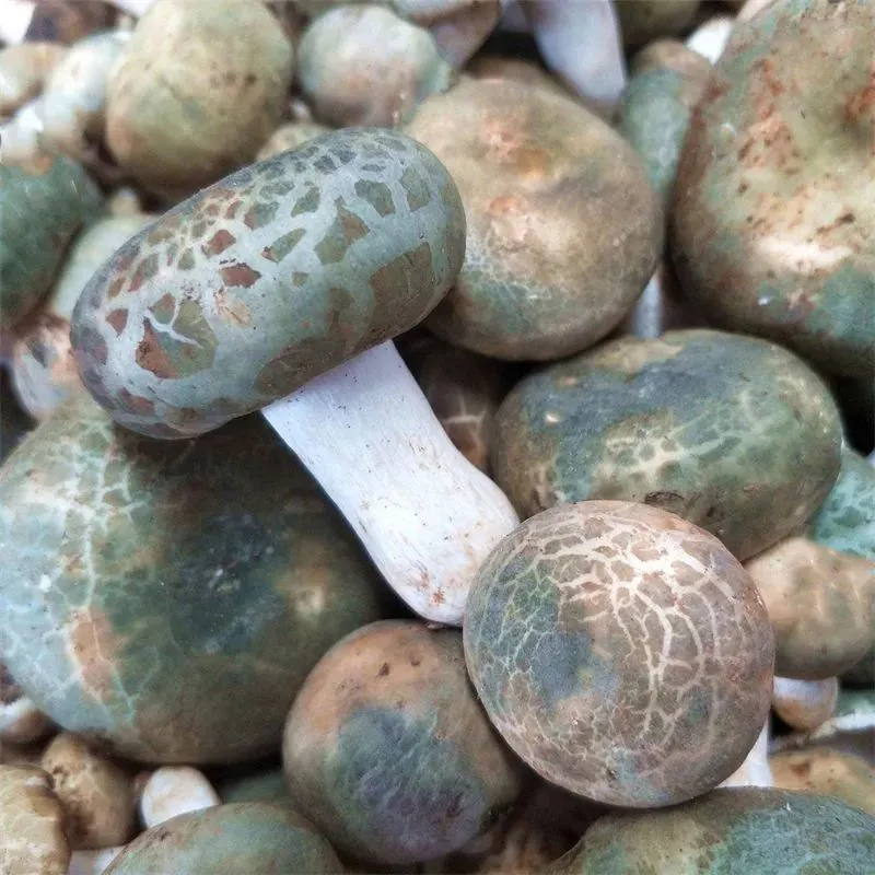 来昆明一定要吃的特色美食推荐!你去过几家?