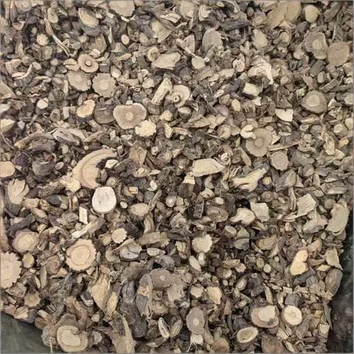 从“土黄芪”到中药界的“网红”食材金雀根