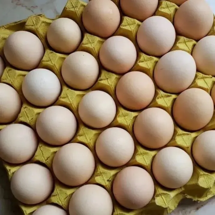 宏达国盛食品综合批发配送中心火爆招商中