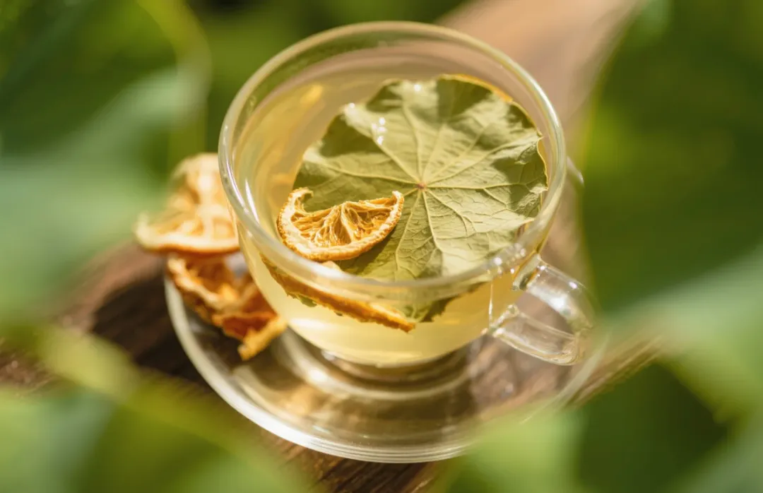 中药科普——荷叶