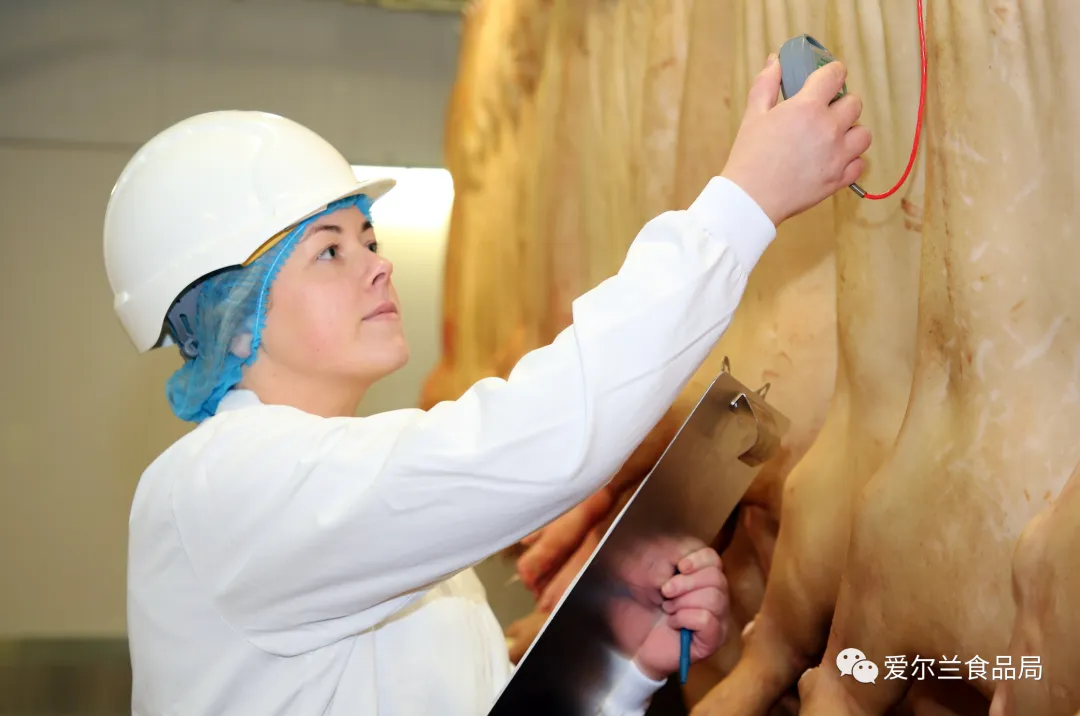 爱尔兰猪肉优质美味,邂逅多彩烹饪艺术