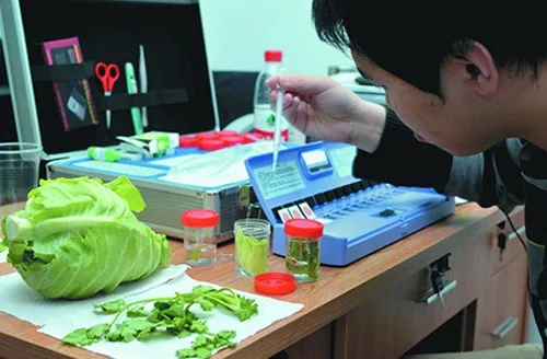 当餐网餐饮供应链食材配送方案