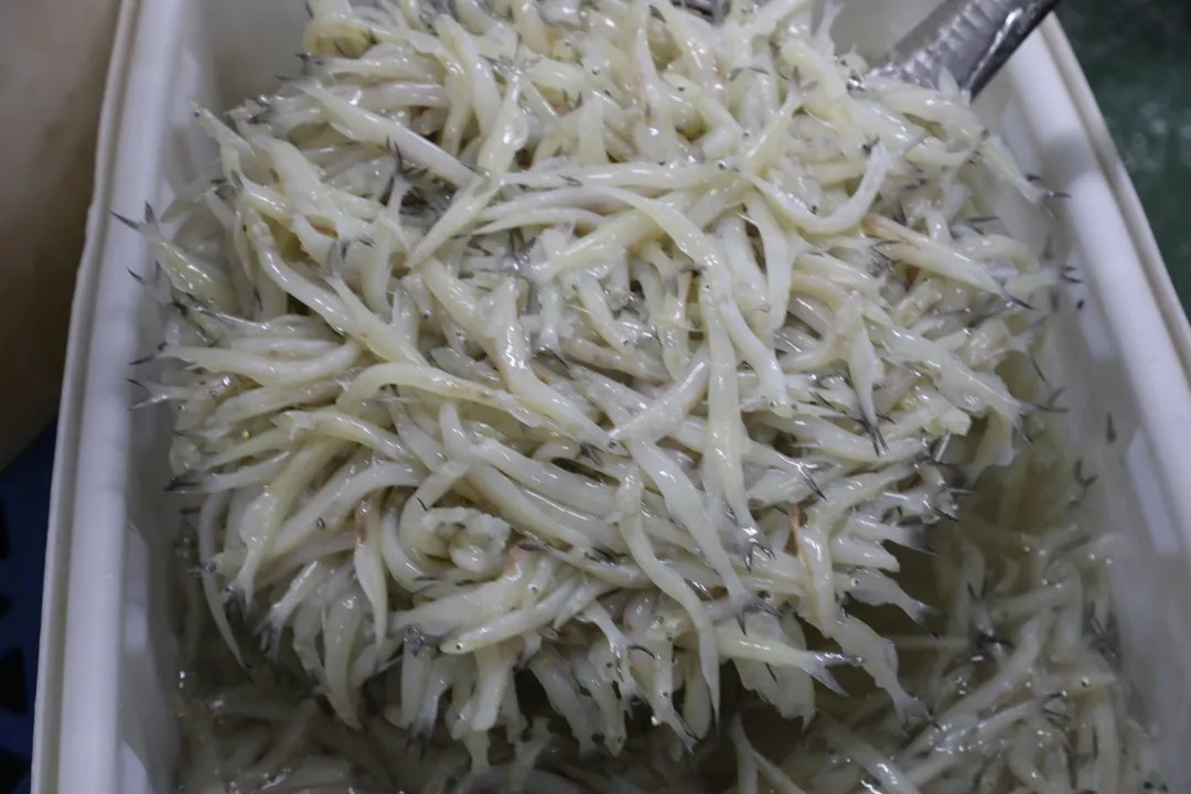 初冬来平邑!暖心美食不容错过~