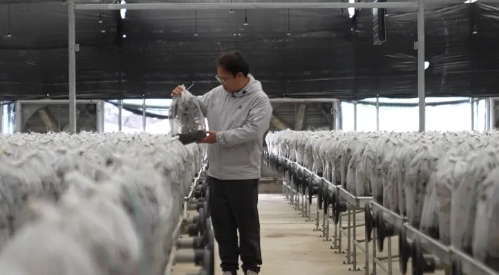 新品+2!衢江每年600多万资金扶持新土特产