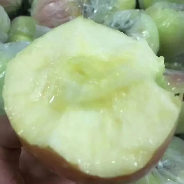 当餐食材青森苹果,水蜜桃般的多汁与苹果的脆甜,青翠又带点蜜桃粉