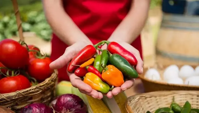 有机农业发展模式与趋势分析