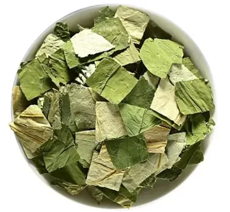 中药科普——荷叶