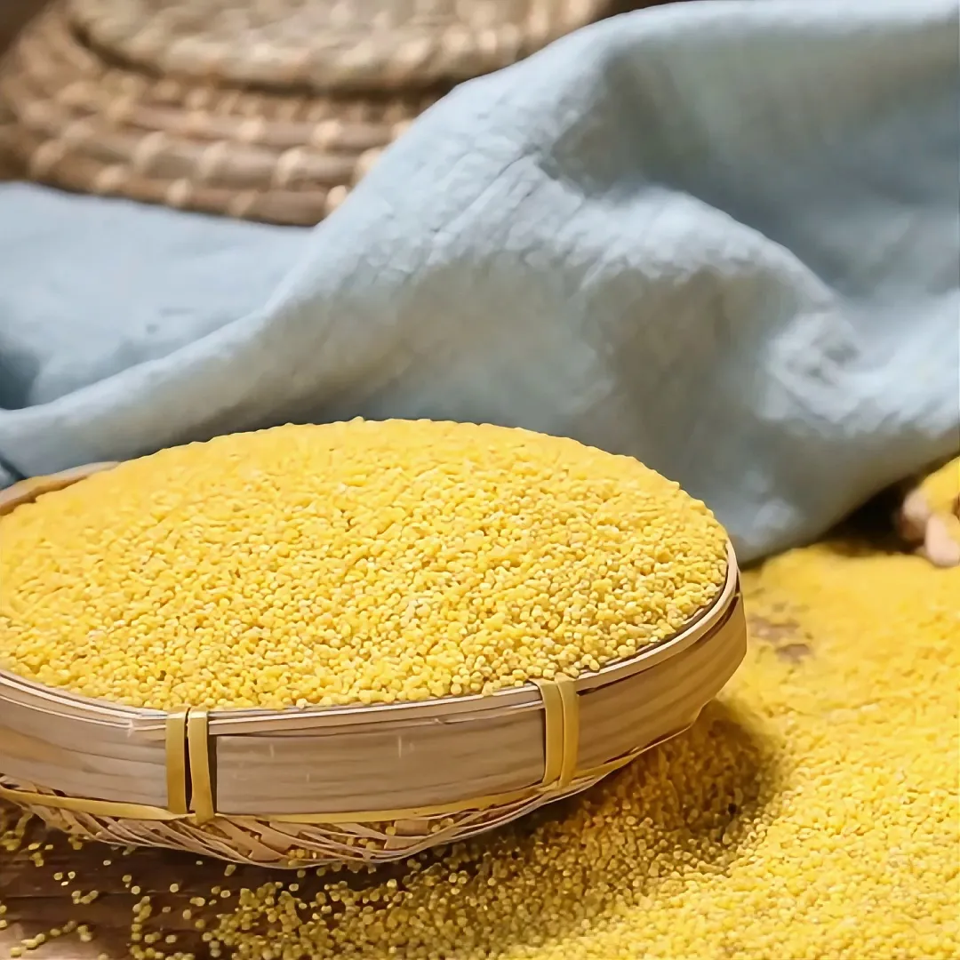 冬季护胃指南五种食材,给胃肠温柔呵护