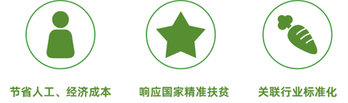 当餐优选,生鲜直达!餐饮供应链,重塑净菜新鲜标准