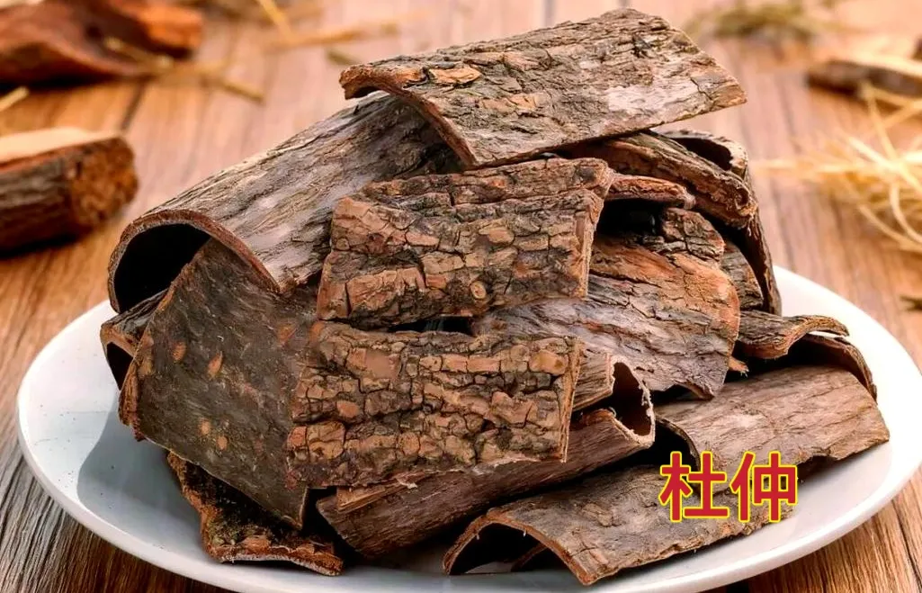 汝阳山珍,仙药杜仲