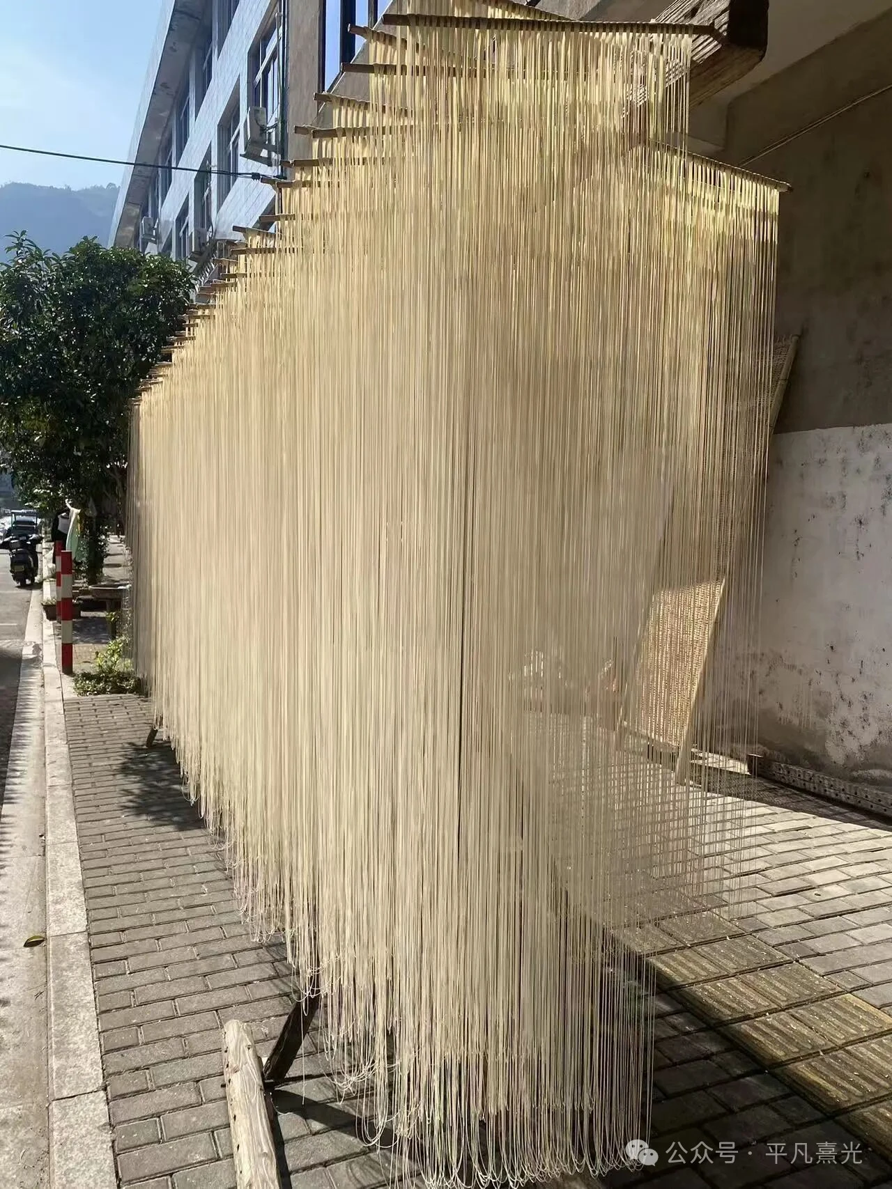 温州素面 纯手工制作 细如银丝 温州特色传统美食