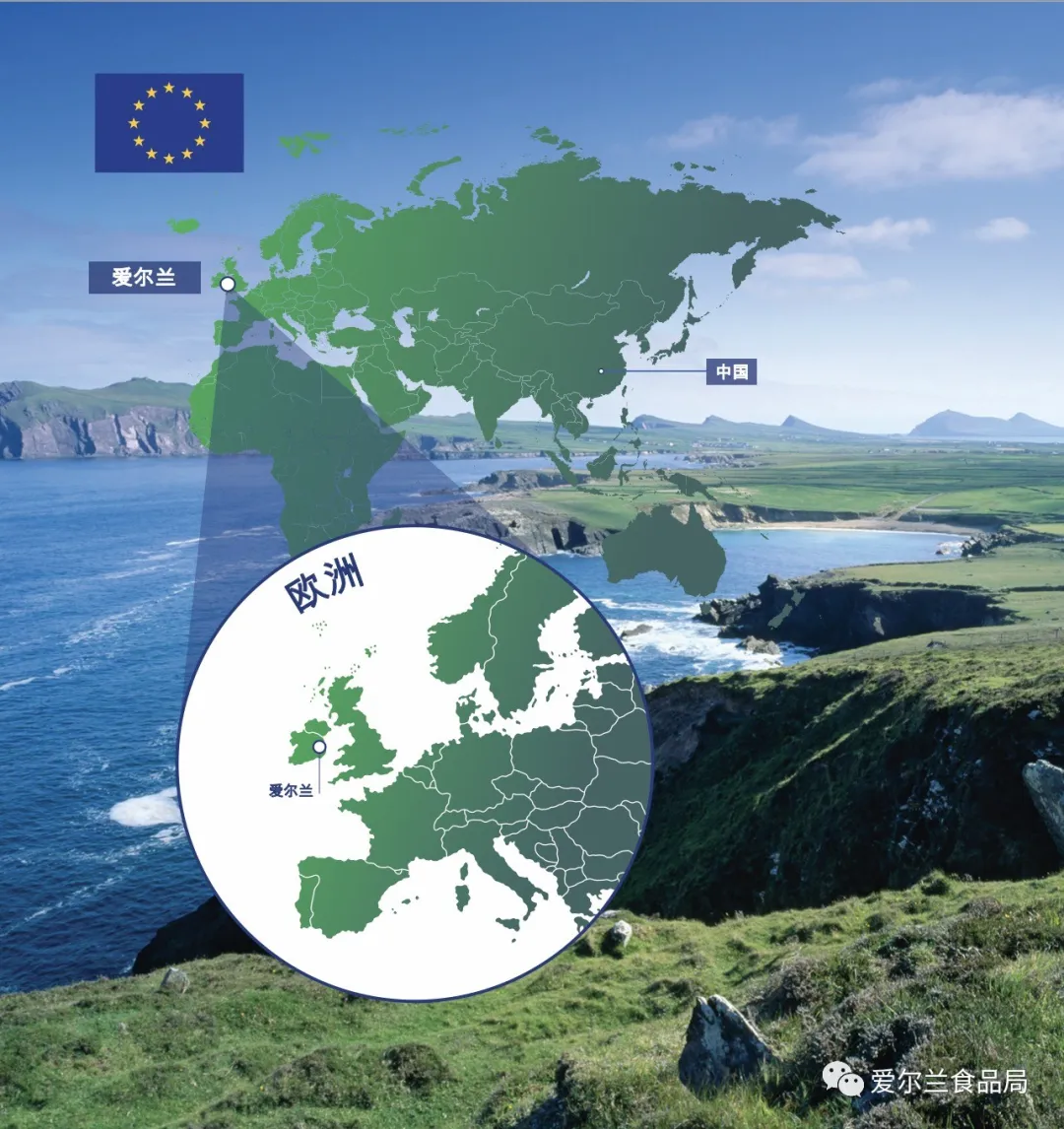 爱尔兰猪肉优质美味,邂逅多彩烹饪艺术