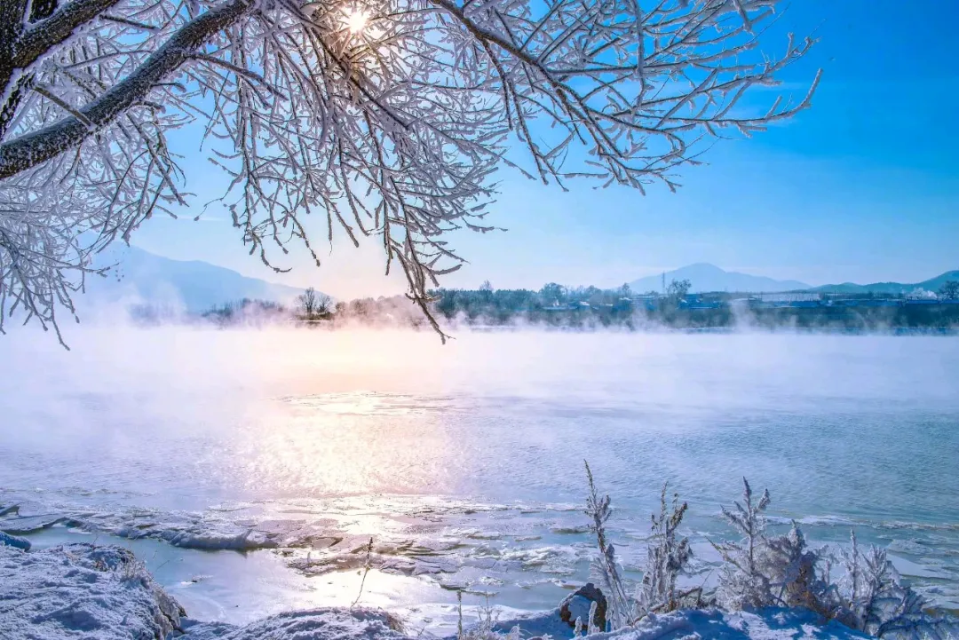 东北人的“猫冬”食材