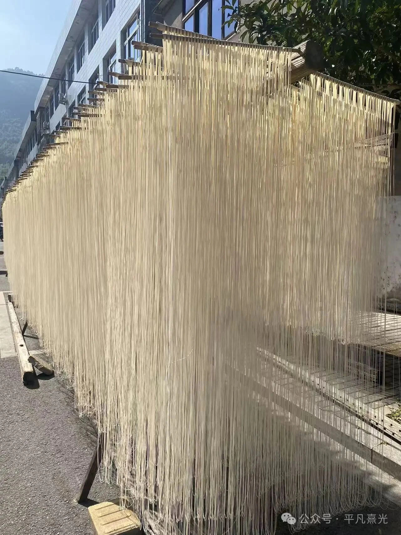 温州素面 纯手工制作 细如银丝 温州特色传统美食