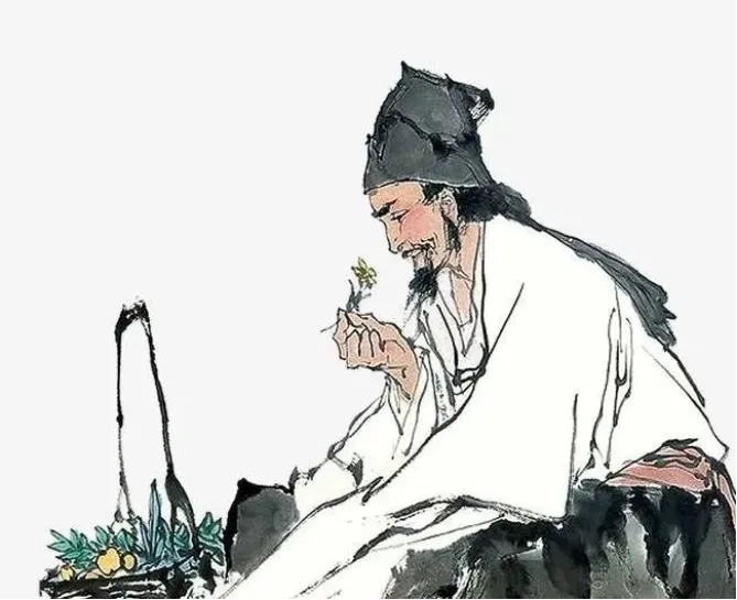 探秘胡椒从药食两用的功效到历史传奇