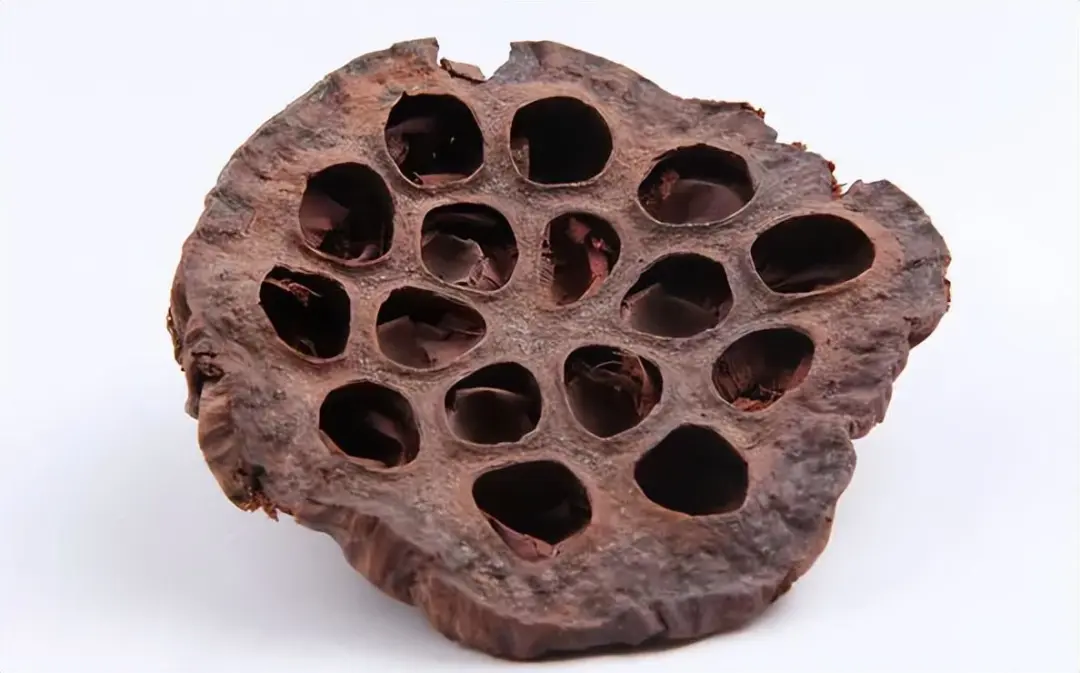 当餐食材莲房果然莲花全身都是宝