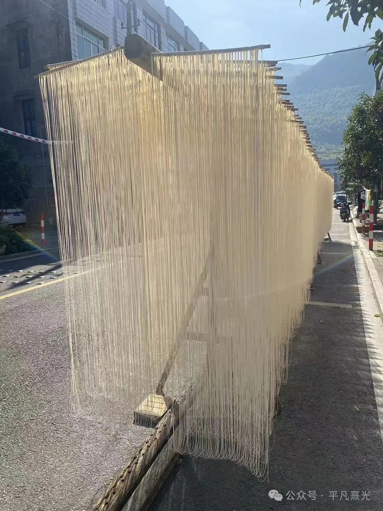 温州素面 纯手工制作 细如银丝 温州特色传统美食