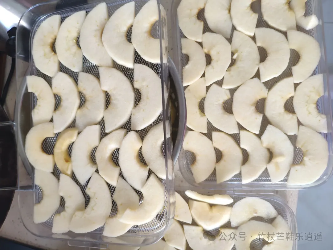 在硕果累累的收获季节自制美味果干