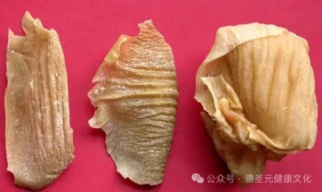 鸡内金的功效作用