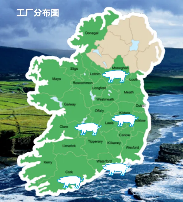 爱尔兰猪肉优质美味,邂逅多彩烹饪艺术