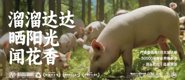 青岛餐饮界的品类冠军:80家店,一年卖掉743万份排骨