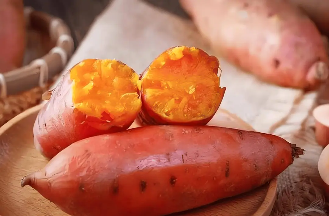 冬季护胃指南五种食材,给胃肠温柔呵护