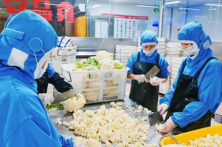 全运会上被点赞的美食餐饮供应链是怎样配送的