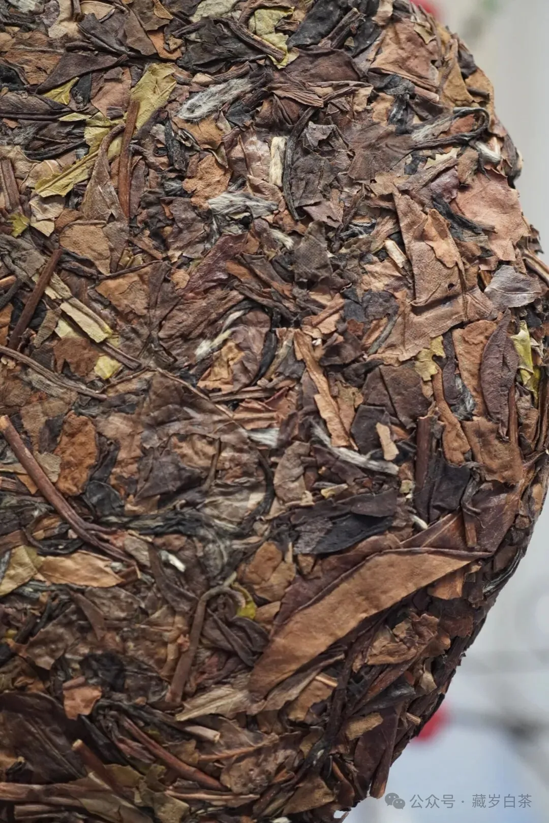 茶叶新品推荐【十一年陈化,木韵蜜章】