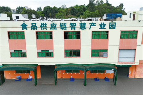 当餐优选,生鲜直达!餐饮供应链,重塑净菜新鲜标准