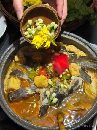云贵川美食爆火背后的秘密:一锅酸辣,竟能平衡身心能量?