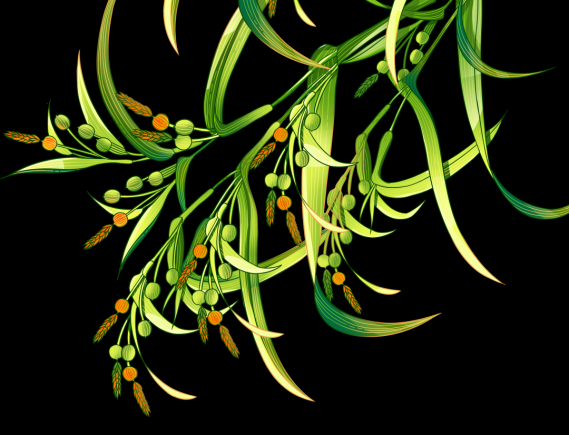 当餐优选新品上市!天麻薏仁系列,开启自然滋养新食尚