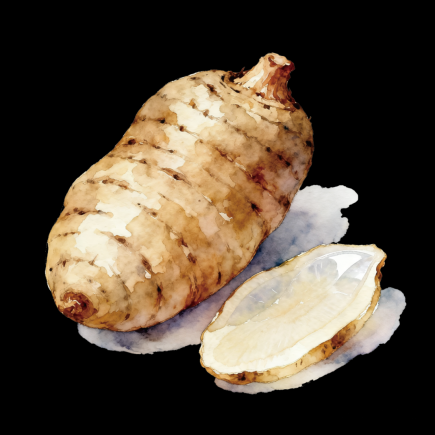 当餐优选新品上市!天麻薏仁系列,开启自然滋养新食尚