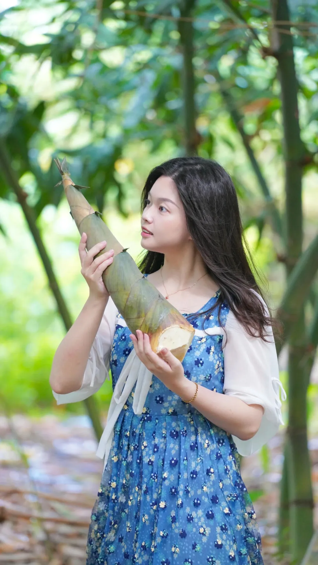 国家级美食,湛江增两席!当餐优选“山珍海味”食材组团出道