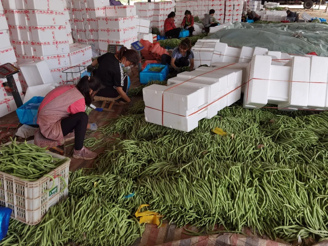 餐饮企业客户需要一个怎样的餐饮供应链平台