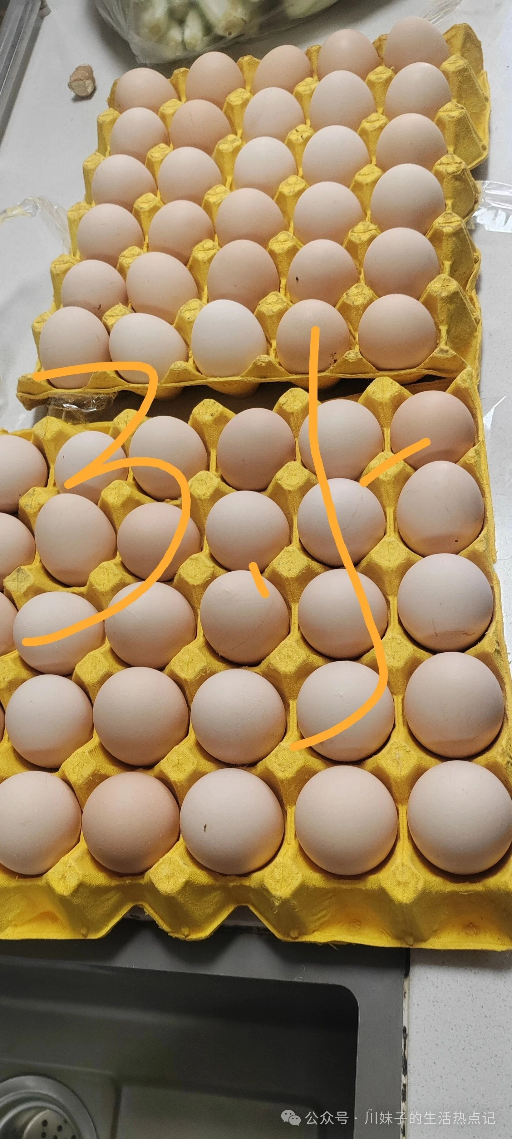 川渝妹子亲测菜市场买菜攻略!5种家常食材性价比拉满,囤货不踩坑