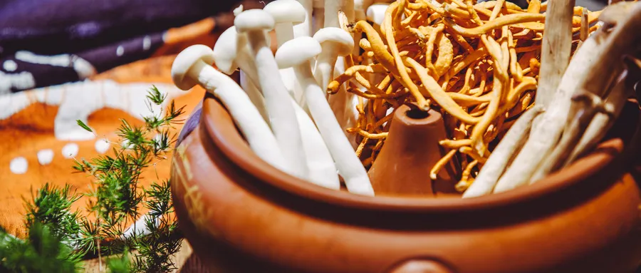 当餐地标食材风潮起,餐企如何打造舌尖上的“地域密码”?