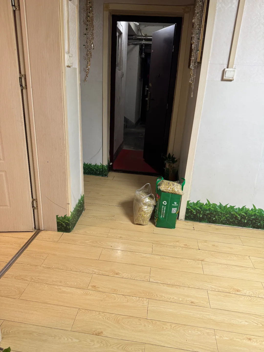 6万份有机豆芽的坚持以善为种,让爱生根