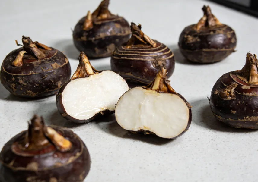 中医养肺 “黄金食材”推荐