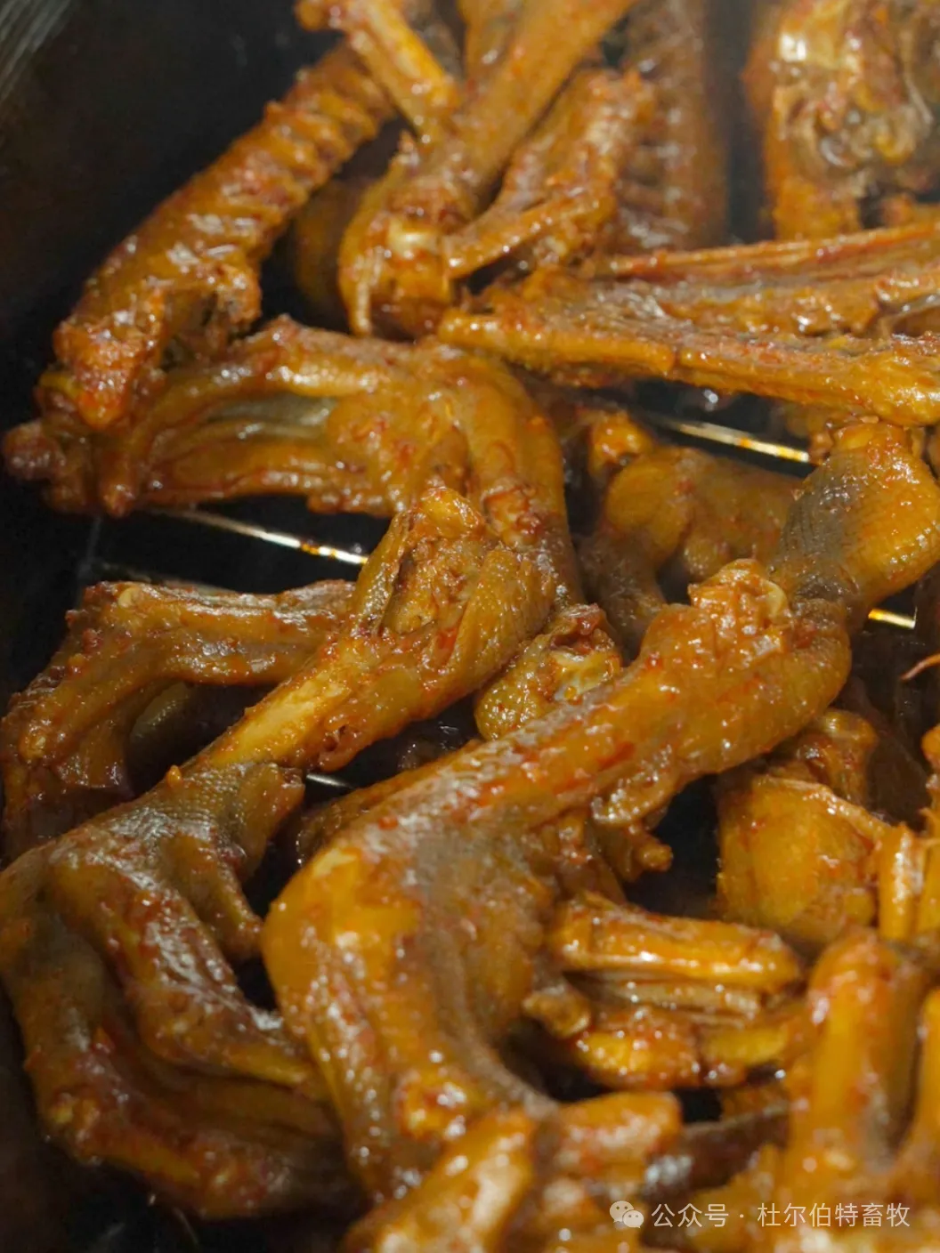 鹅+餐饮产业添新味,草原鹅加工产销旺