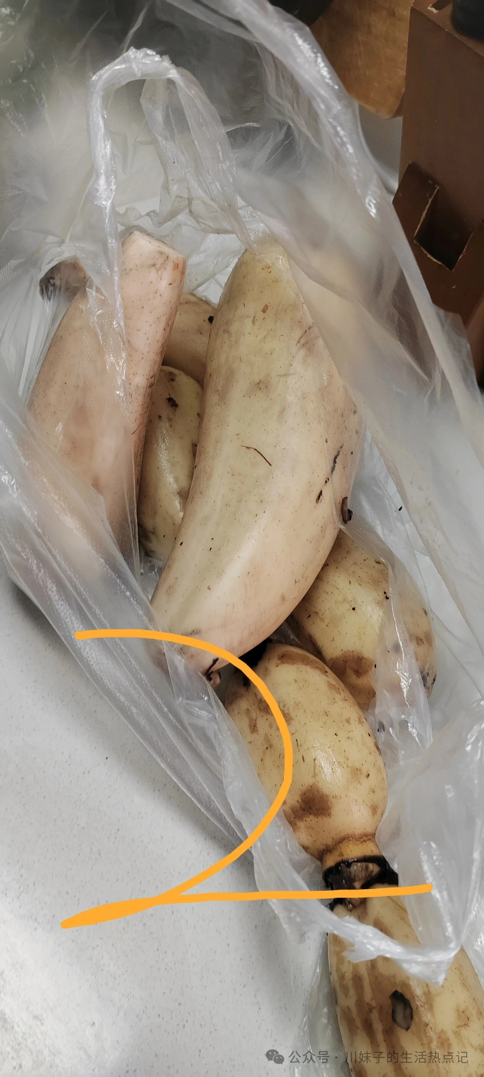 川渝妹子亲测菜市场买菜攻略!5种家常食材性价比拉满,囤货不踩坑