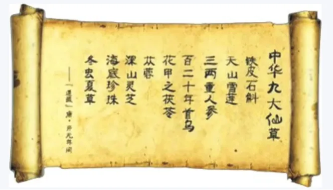 药食同源铁皮石斛守护舌尖上的美味和健康