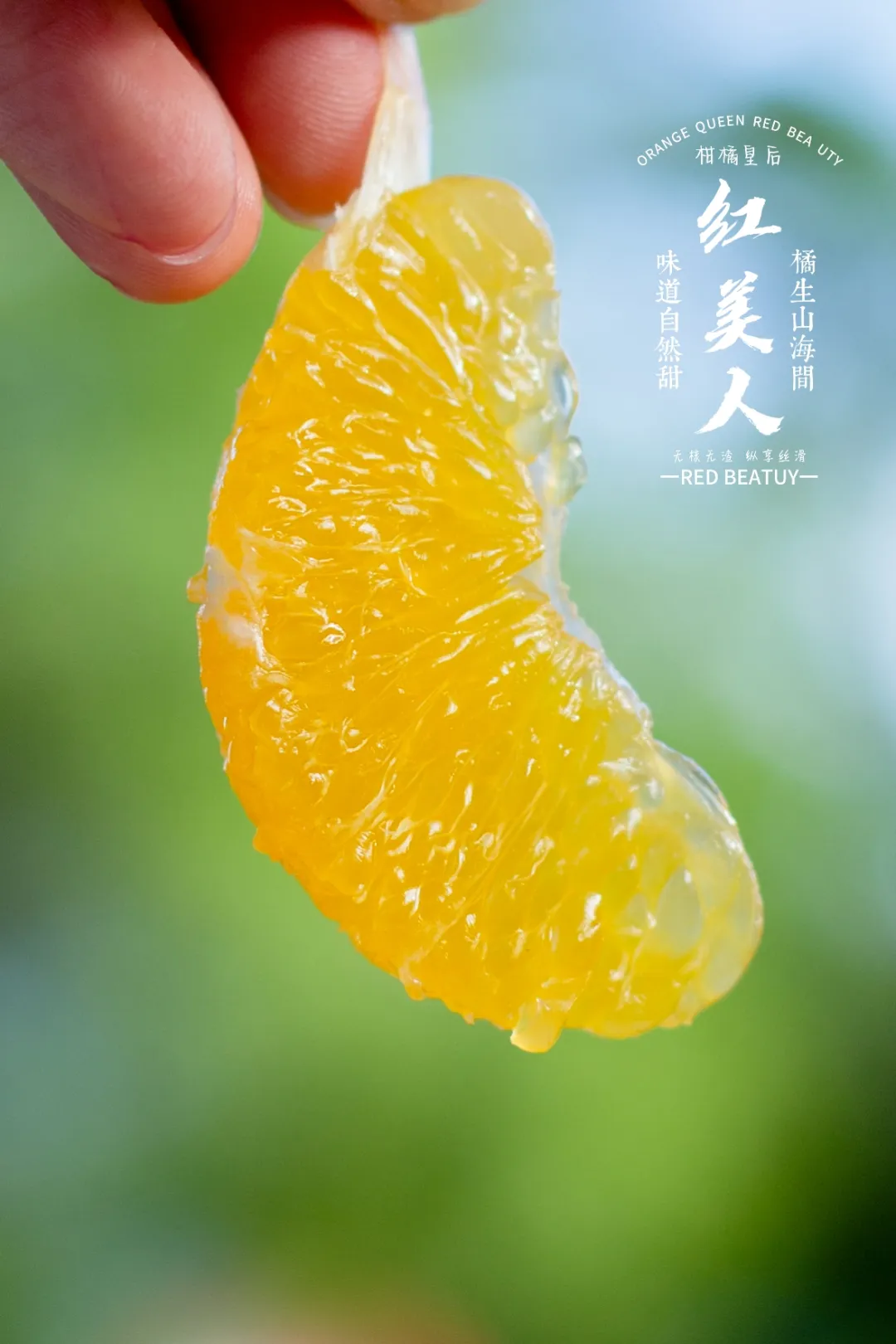 当餐优选浙江象山产地食材红美人果冻橙