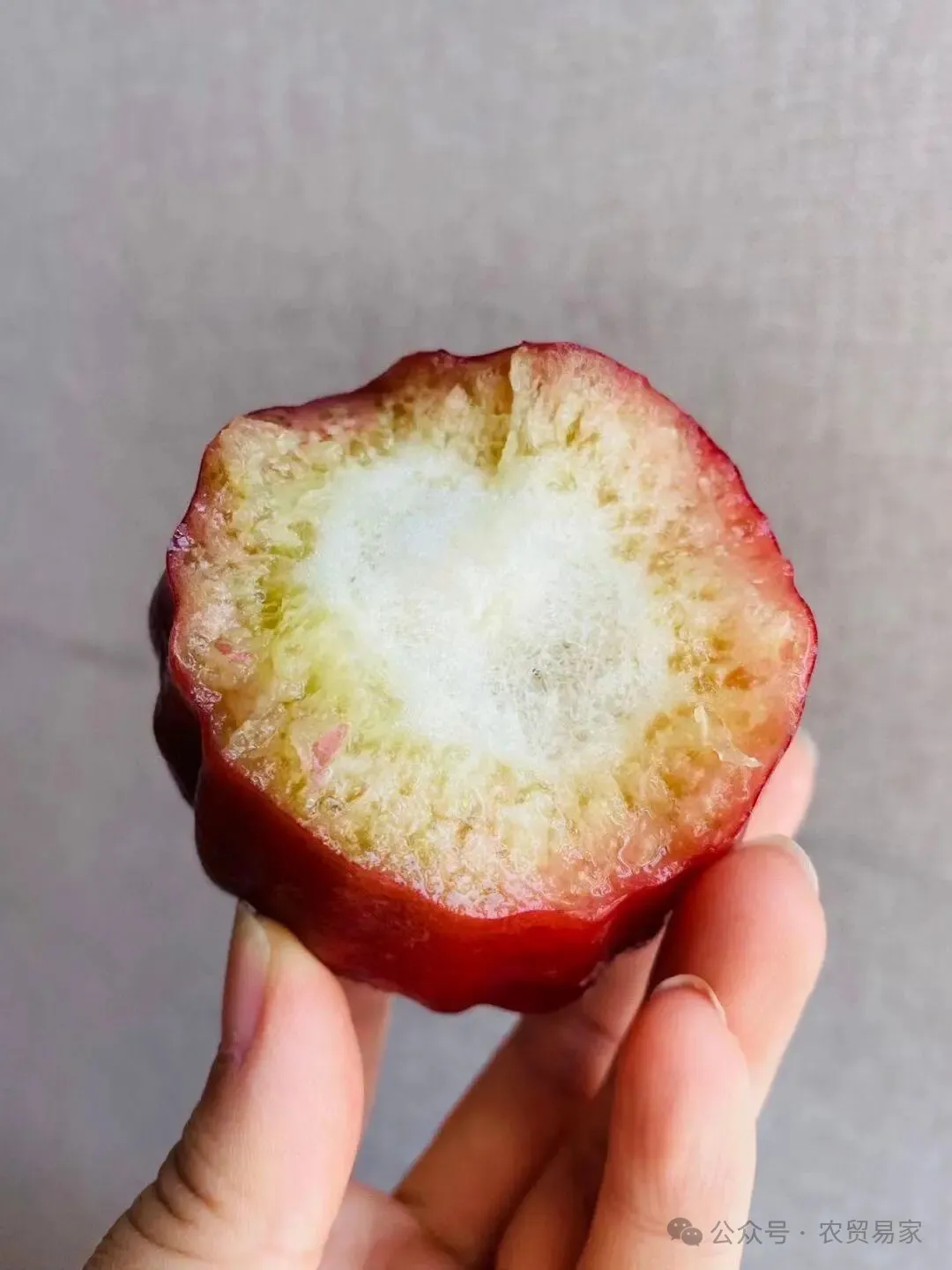 南鹿一号有机莲雾:秋冬季补水神器,减肥圣果!