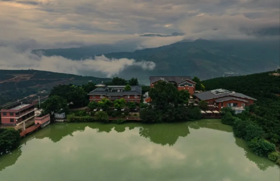 当餐生鲜发布吃橙时刻表,品质保障美味优选