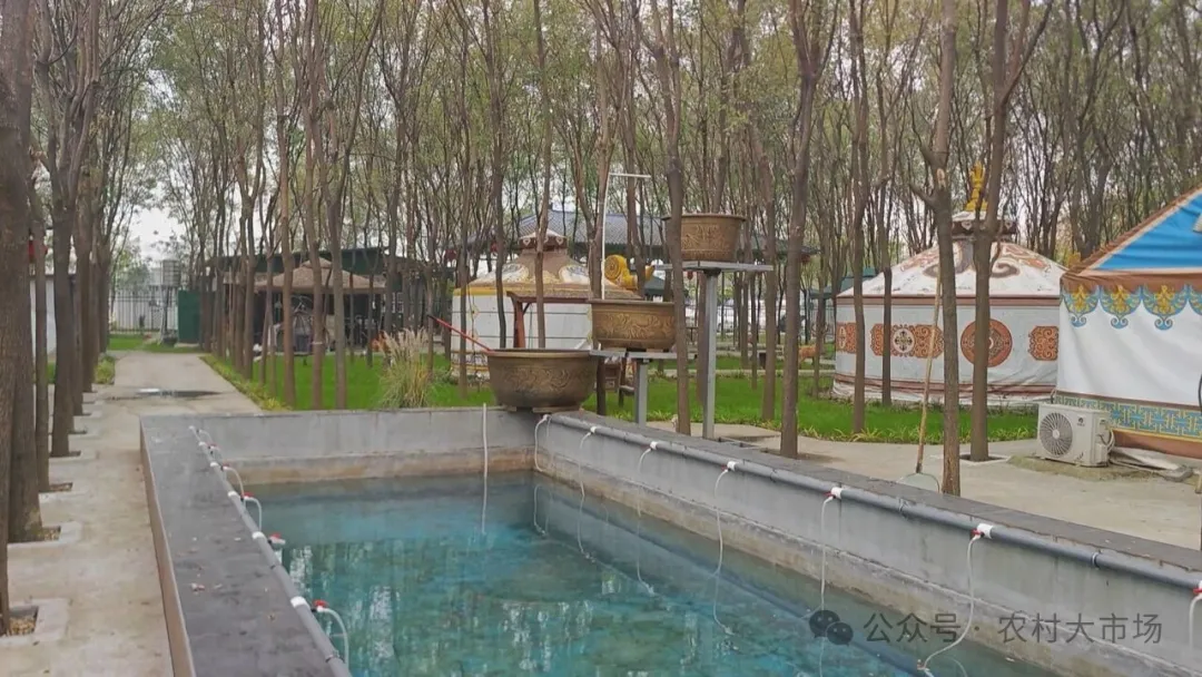 大山椒鱼成为特色餐饮新亮点