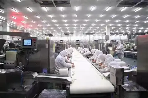 食品厂区布局设计的“道”与“术”,系统规划,方能高效运转