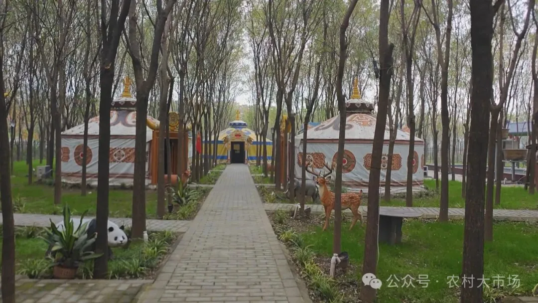 大山椒鱼成为特色餐饮新亮点