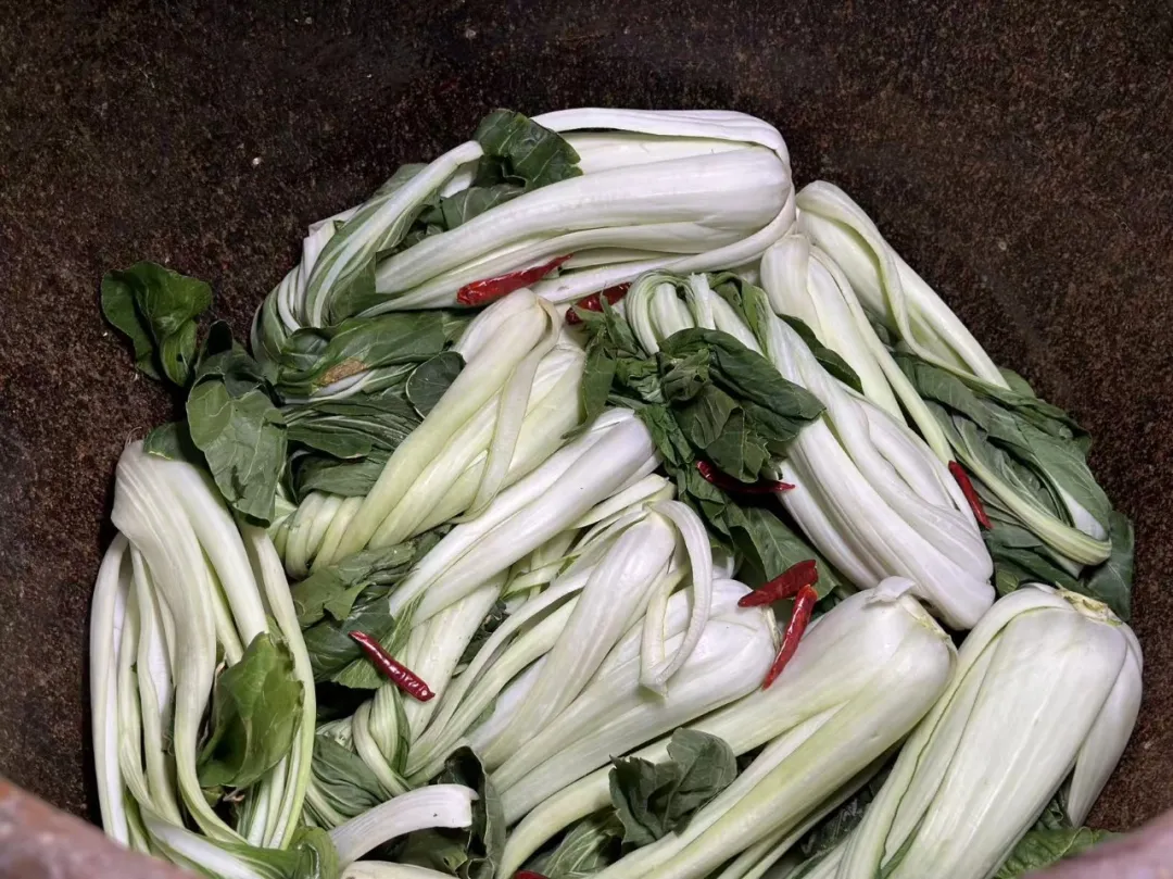 天越冷越馋这一口!寻味义桥腌白菜