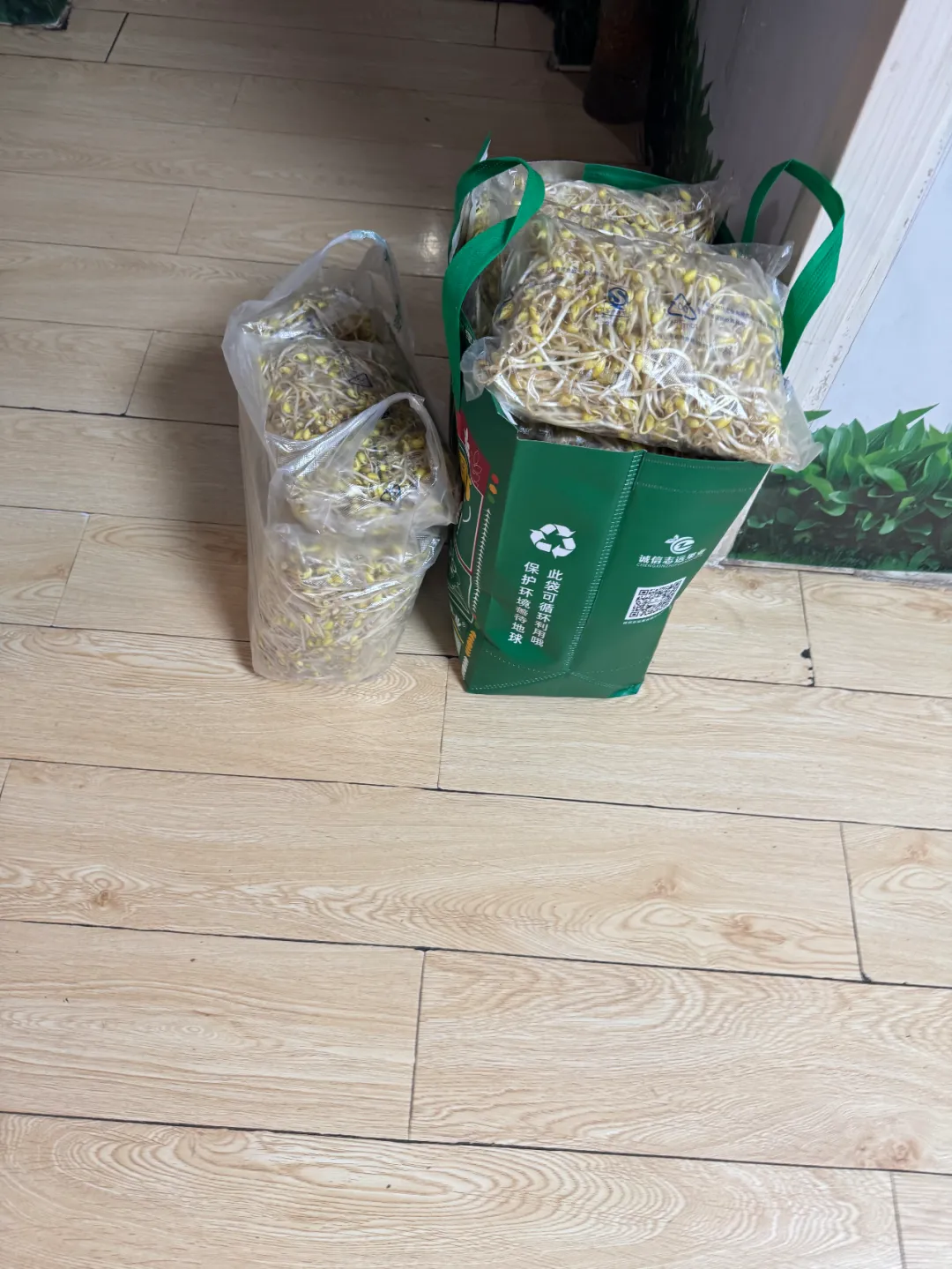 6万份有机豆芽的坚持以善为种,让爱生根